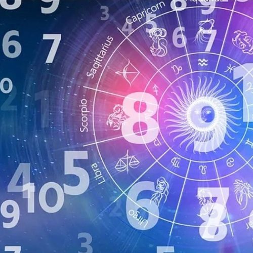 Gói chuyên gia gồm 5 chương